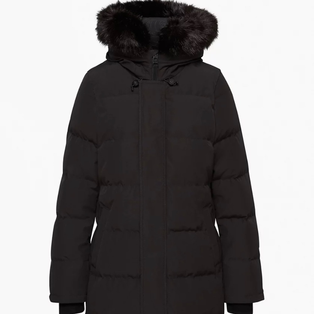 Aritzia Tna Powder Parka (Medium)